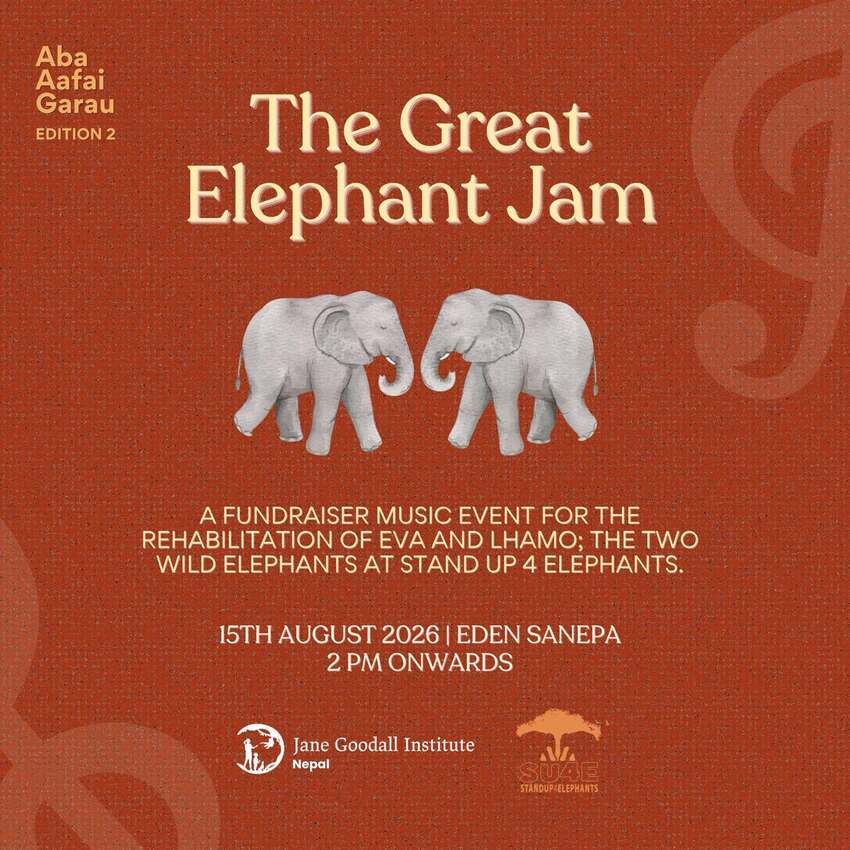 Aba Afai Garau (Edition 2) The Great Elephant Jam